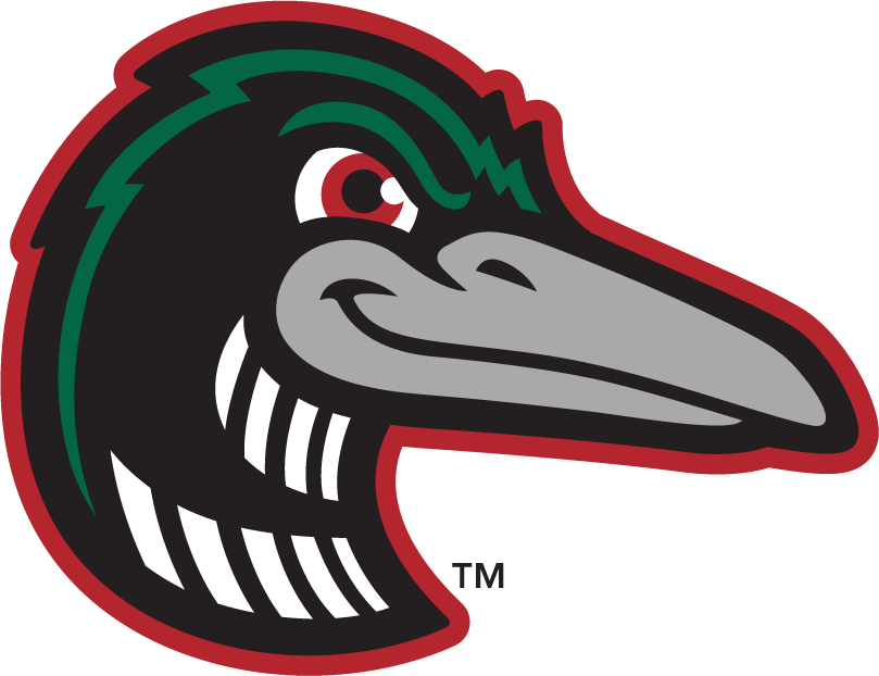 Great Lakes Loons 2016-Pres Alternate Logo 3 vinyl decal